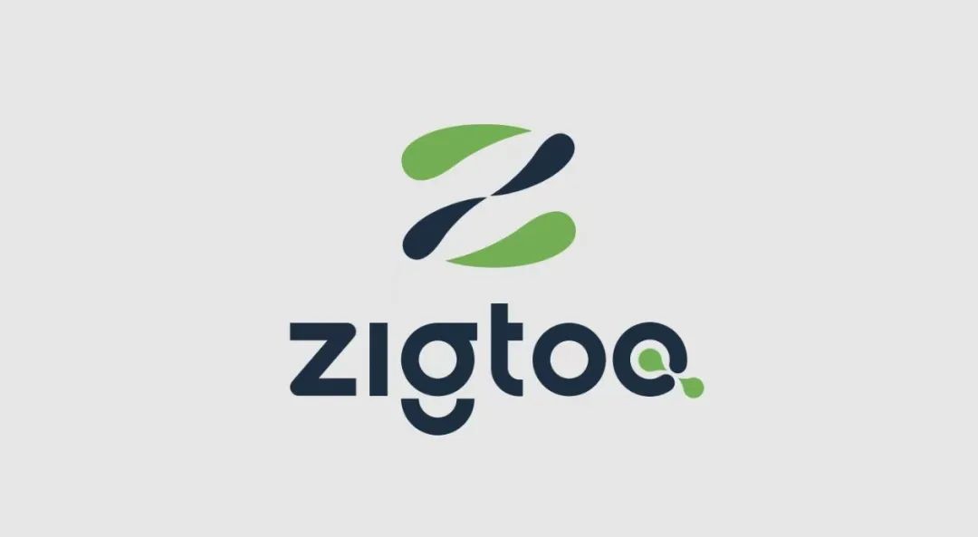 zigtoo.jpg