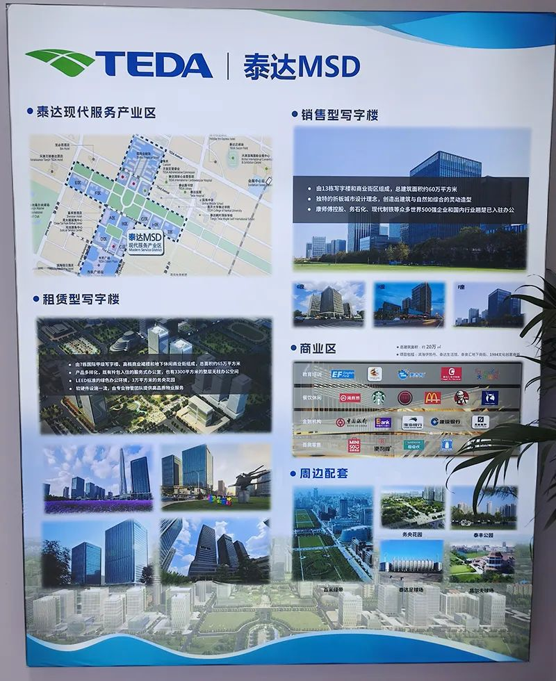 泰达MSD航运基地.png