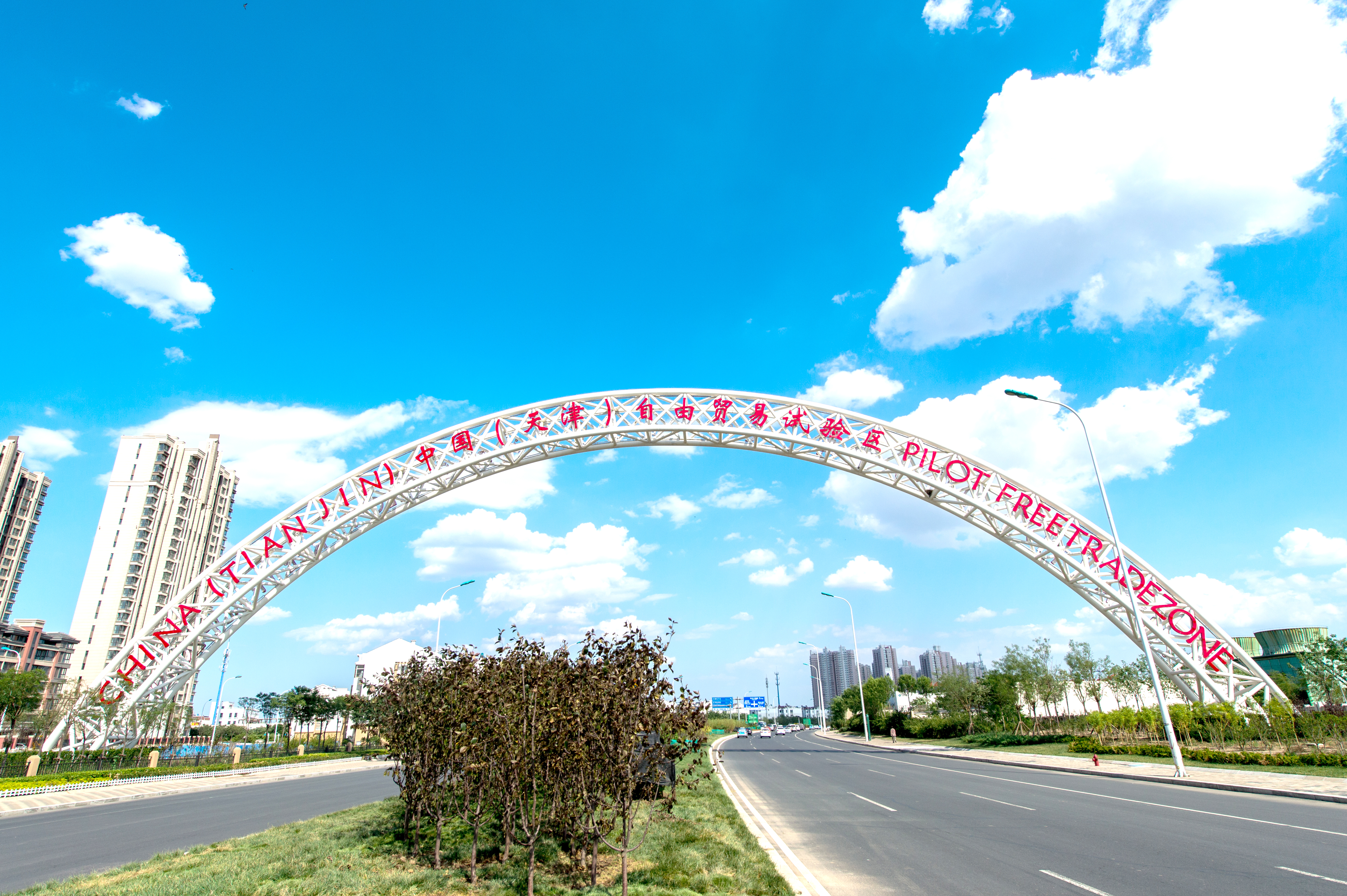 天津自贸试验区十周年建设成果发布 (2).jpg