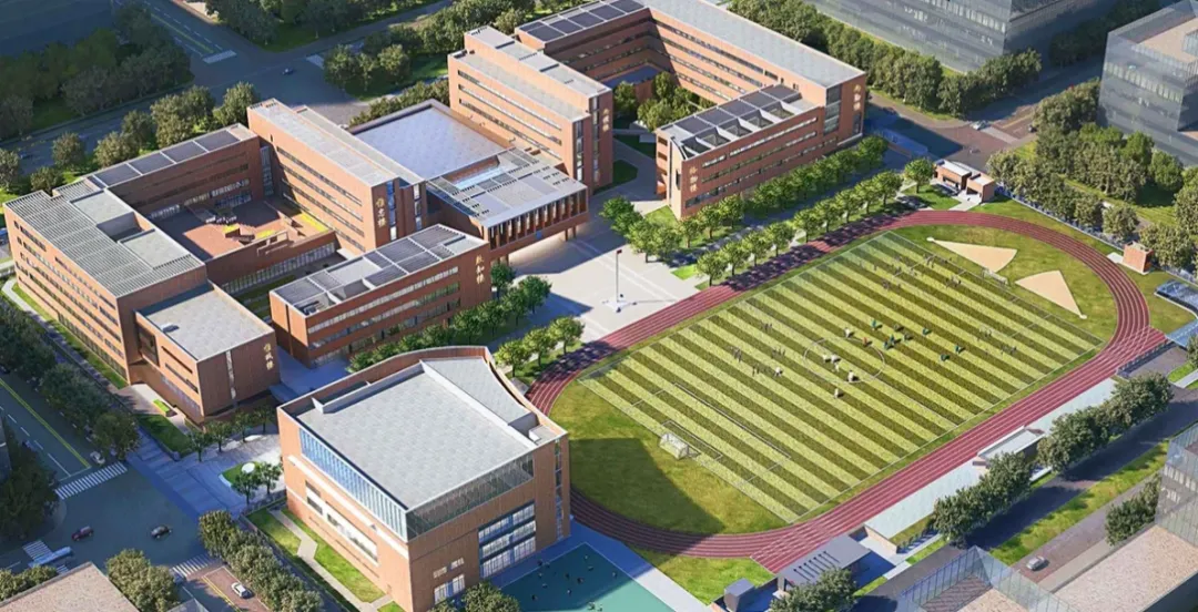 天津耀华滨海学校 (3).jpg