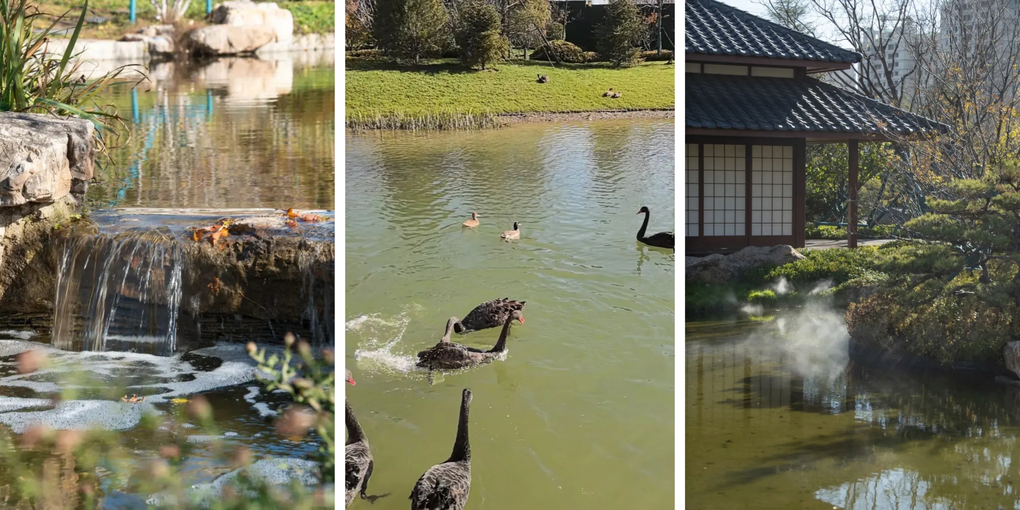 泰达城市广场景观湖.jpg