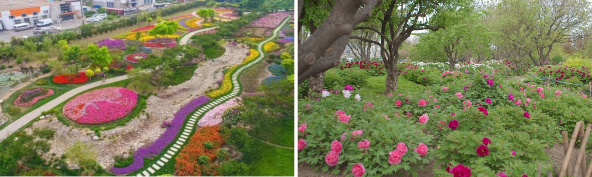 泰达植物资源库.jpg