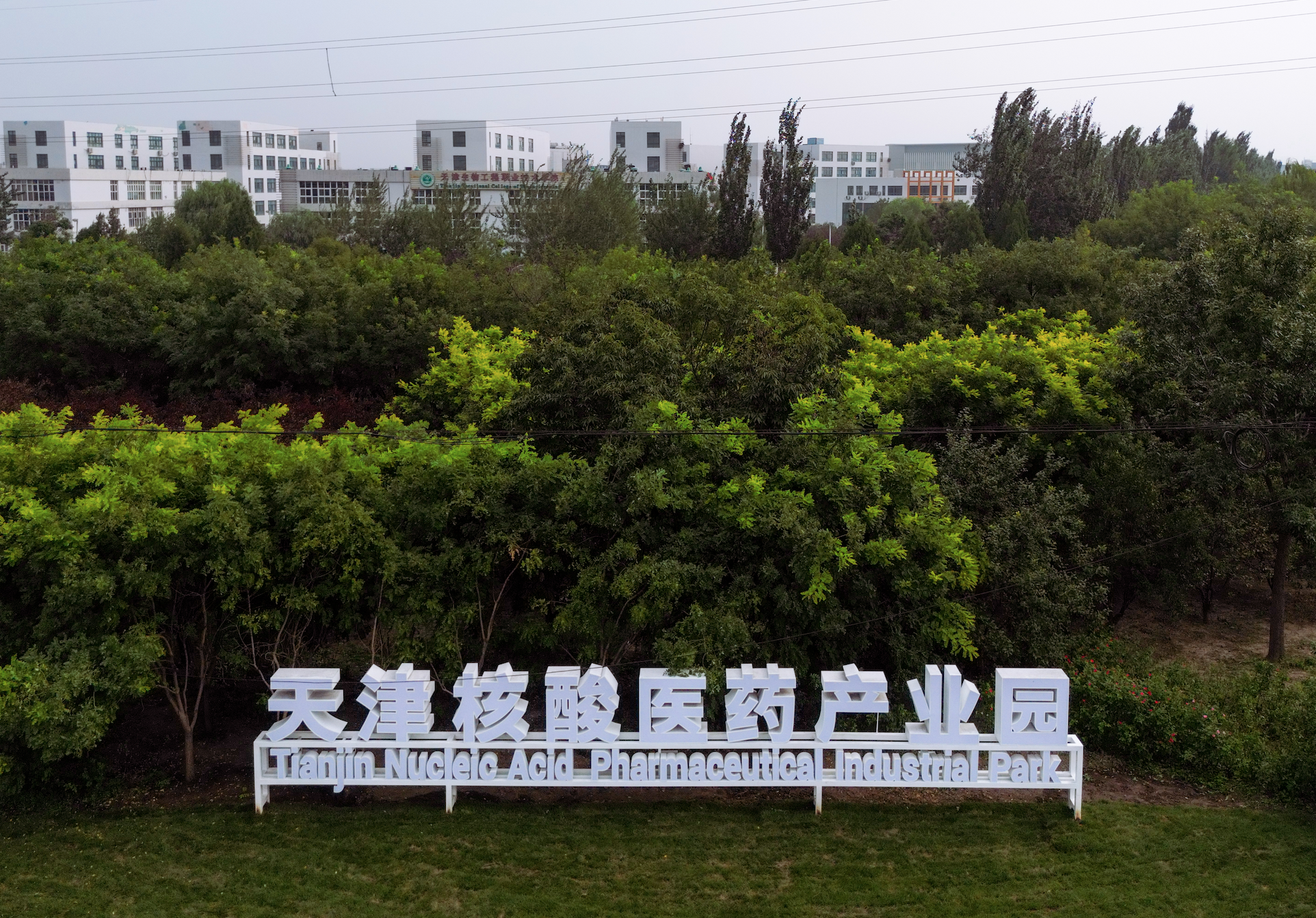 泰达核酸医药产业园正式揭牌 多个重磅项目签约落地7.png