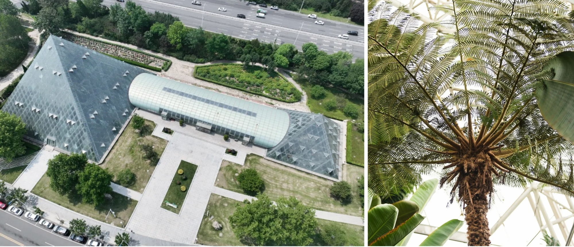 泰达热带植物园.jpg
