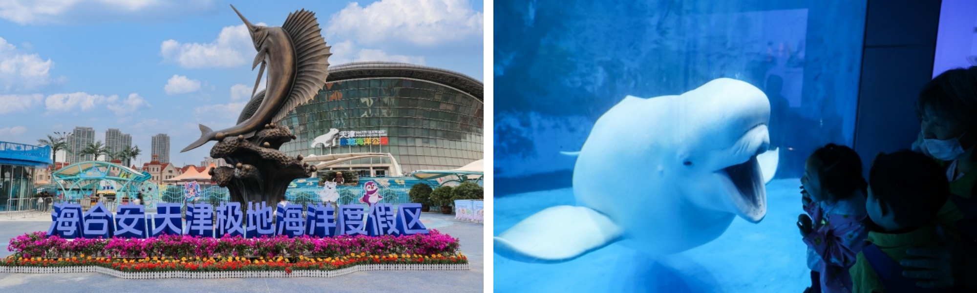 海昌度假公园.jpg